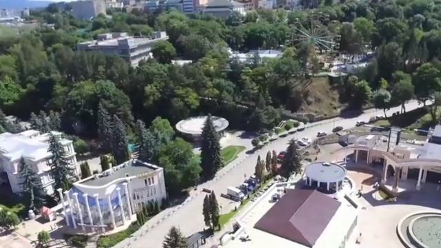 Рябина