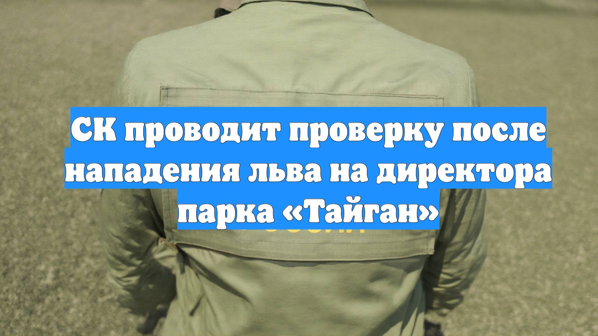 СК проводит проверку после нападения льва на директора парка «Тайган»
