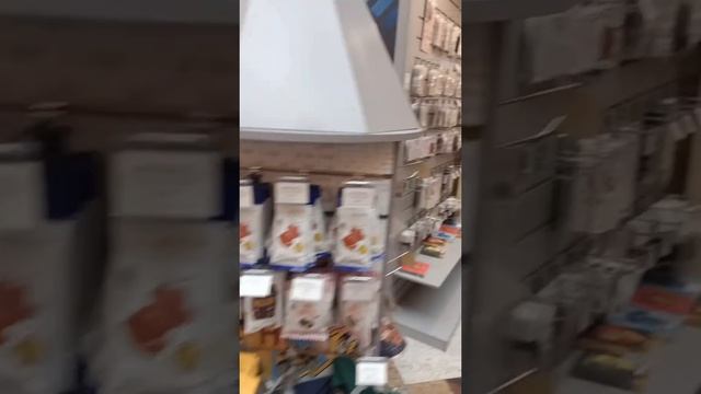 Что посмотреть в Москве?