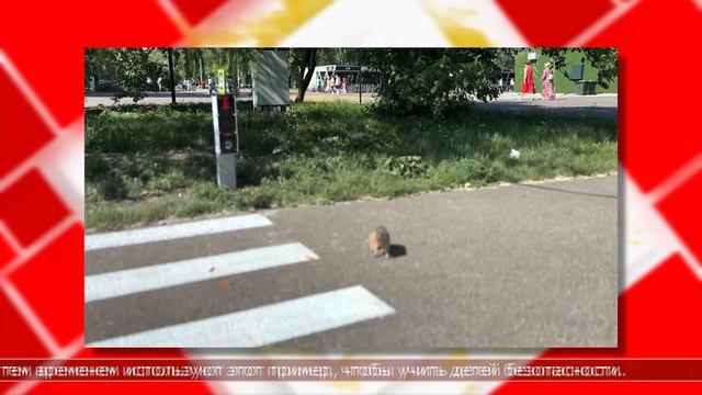 23.06.2025 Мировые новости