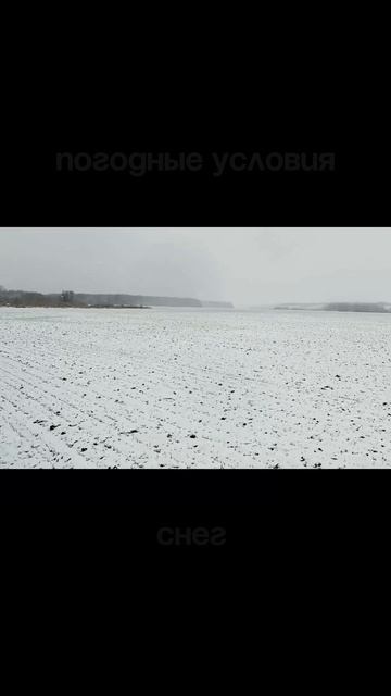 Добыли зайчиков