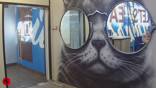 Стеклянная дверь без коробки в Нижнем Новгороде. Маятниковая дверь.