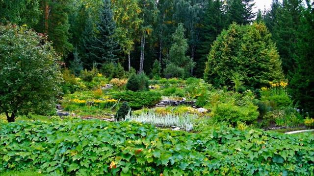10 фактов/Новосибирск