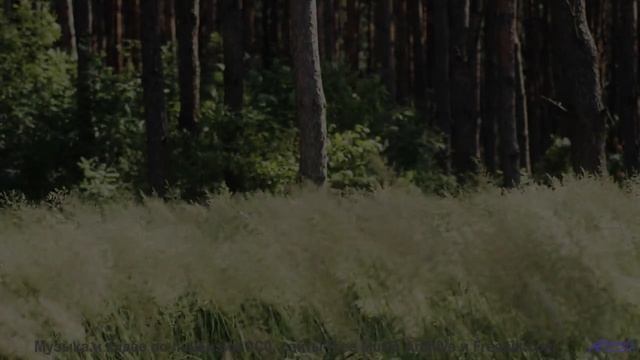 Музыка звучит так, что хочется раствориться в природе - Storybook -- Scott Holmes Music -- Inspiring