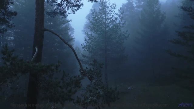 Музыка для цифрового клонирования - этично ли воспроизводить душу - Two ducks on a tree -- Cartouch