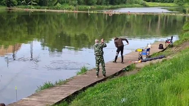 Карп