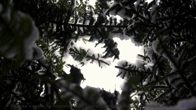 Земля звучит лучше любой симфонии в этом ролике - Core Competence -- Justin Weers -- Unnamed album