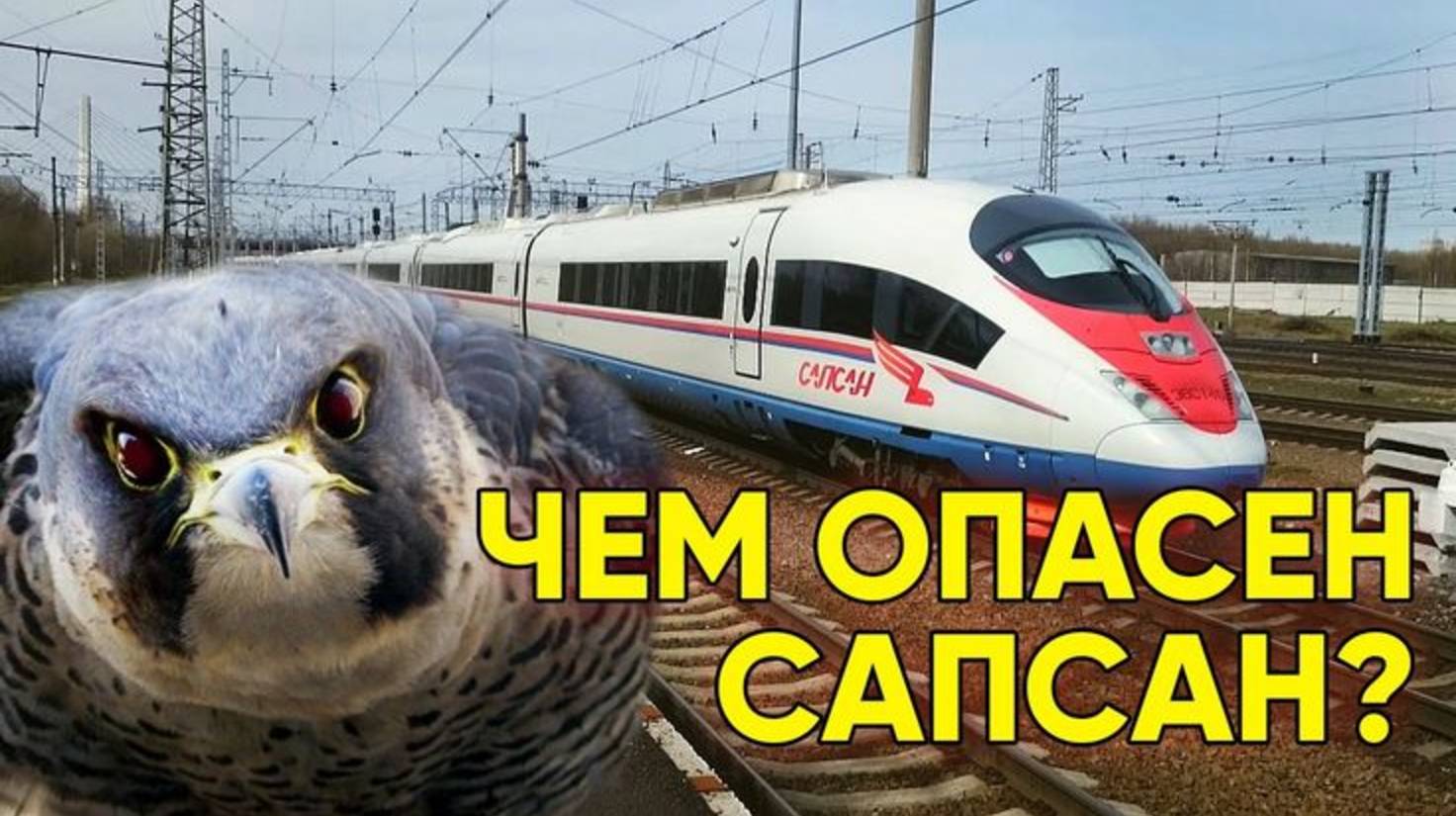 "Сапсан" самая быстрая птица