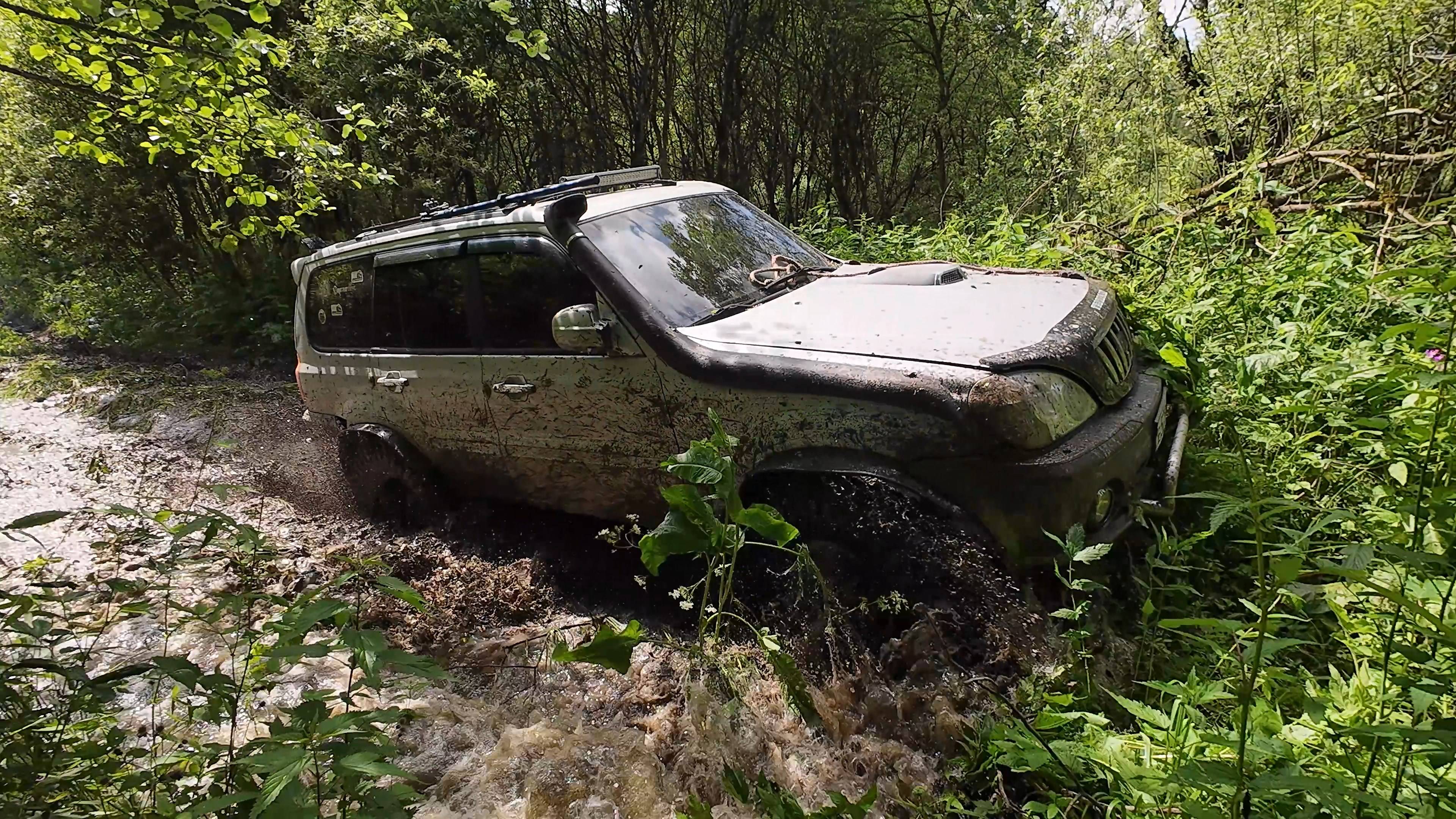 Заброшенная деревня, выезд 21.06.25 Hyundai Terracan и УАЗ Патриот