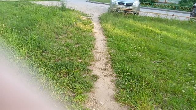 1000001393.mp4