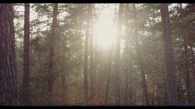 Музыка, которая делает каждый поворот маршрута поцелуем судьбы - Two Pictures (Re-recording) -- Chri