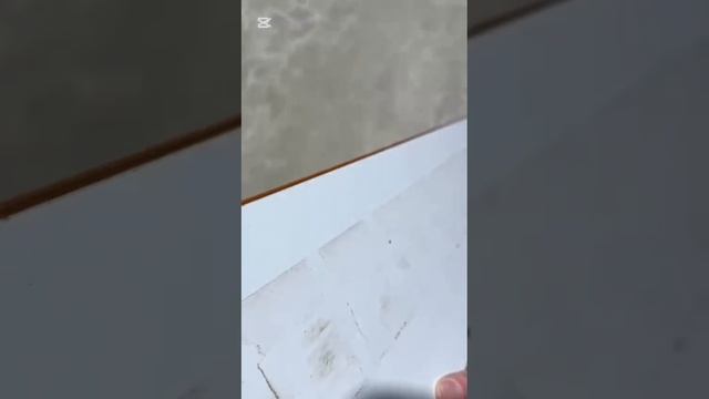 Станок кромкооблицовочный NOVIMAТ Concept IG 80