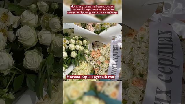 Могила утопает в белых розах: фанаты Шатунова оплакивают певца на Троекуровском кладбище