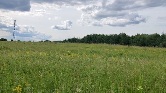 Луга за рекой