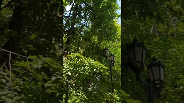 прогулки на свежем воздухе