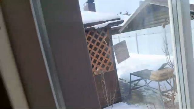 VID-20250219-WA0013