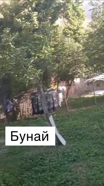 фруктовый 🍊🍊🍊 сад