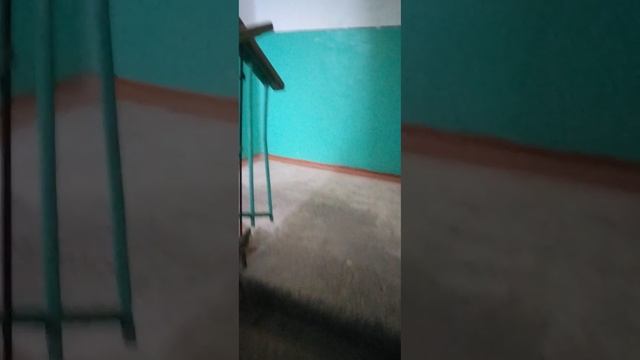 VID_20250621_155418.mp4