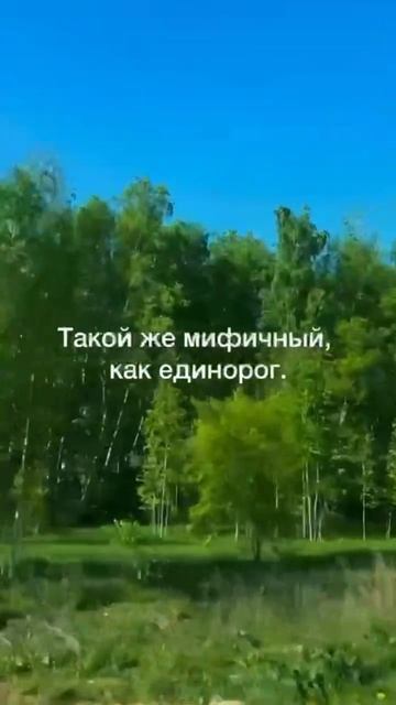 #лето
