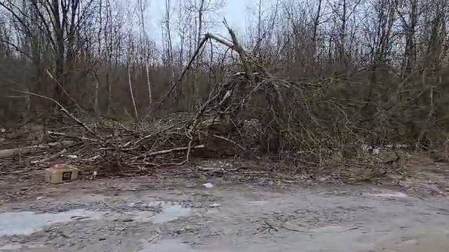 МО, город Электросталь, 1-й Криулинский проезд