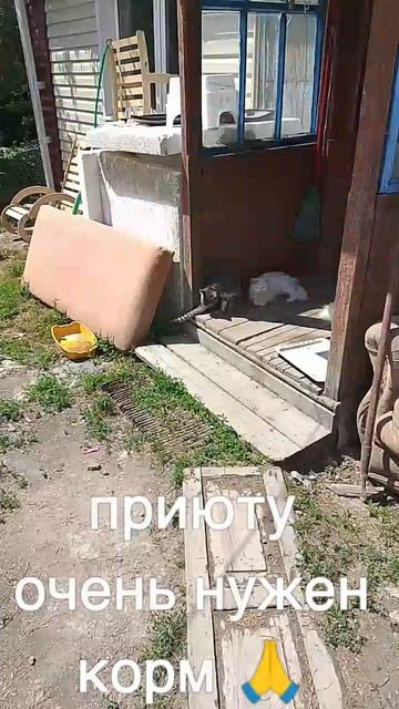 8985 193 0027 сбер, элплат