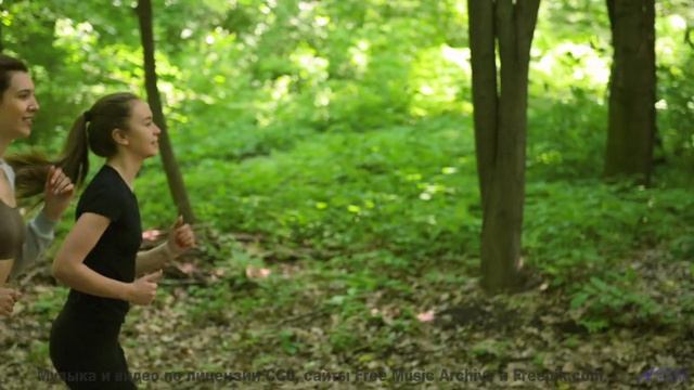 Мелодии, которые звучат громче, когда их слушаешь в объятиях у гор - Stimulant -- SUPERARE -- II