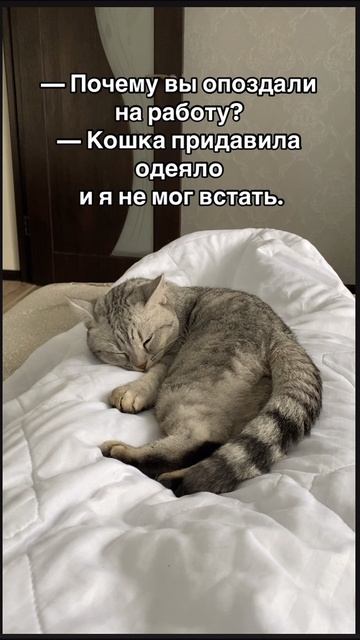 23-06-2025