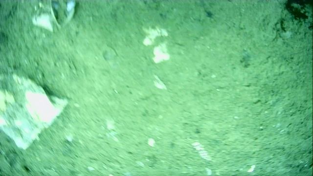 1000045195.mp4Волга гл.5м.23.06.2025г.