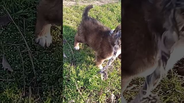 1000080887.mp4