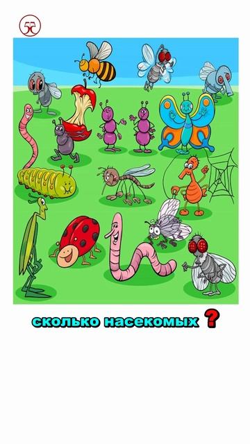 посчитаем насекомых 🕷️