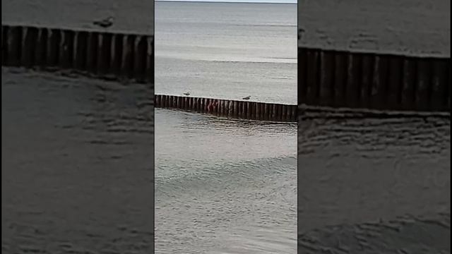Прогулка по берегу Балтийского моря