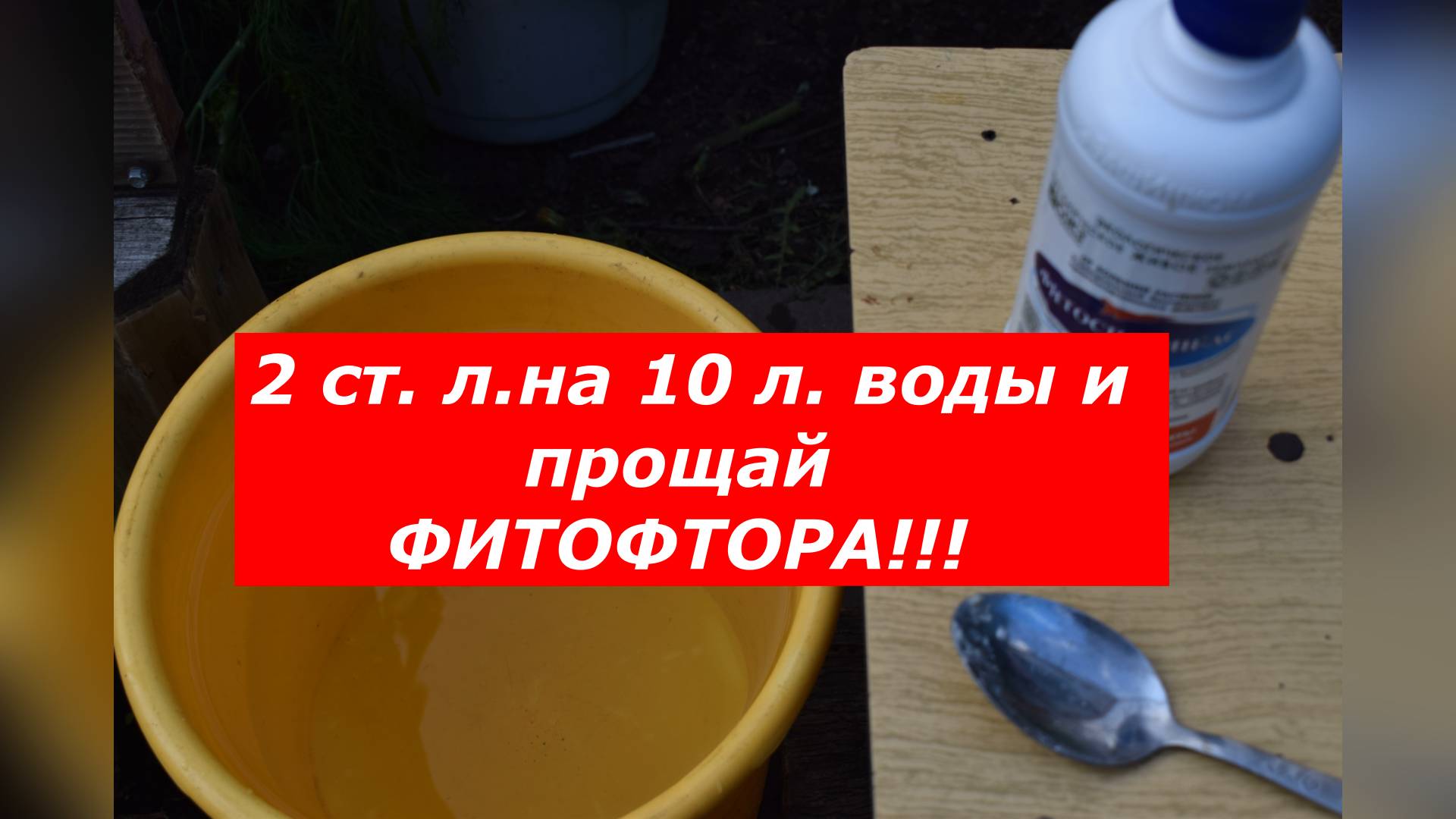 Как я спасаю свои томаты с помощью фитоспорина АС (и вы сможете!) #томаты #фитоспорин #огород