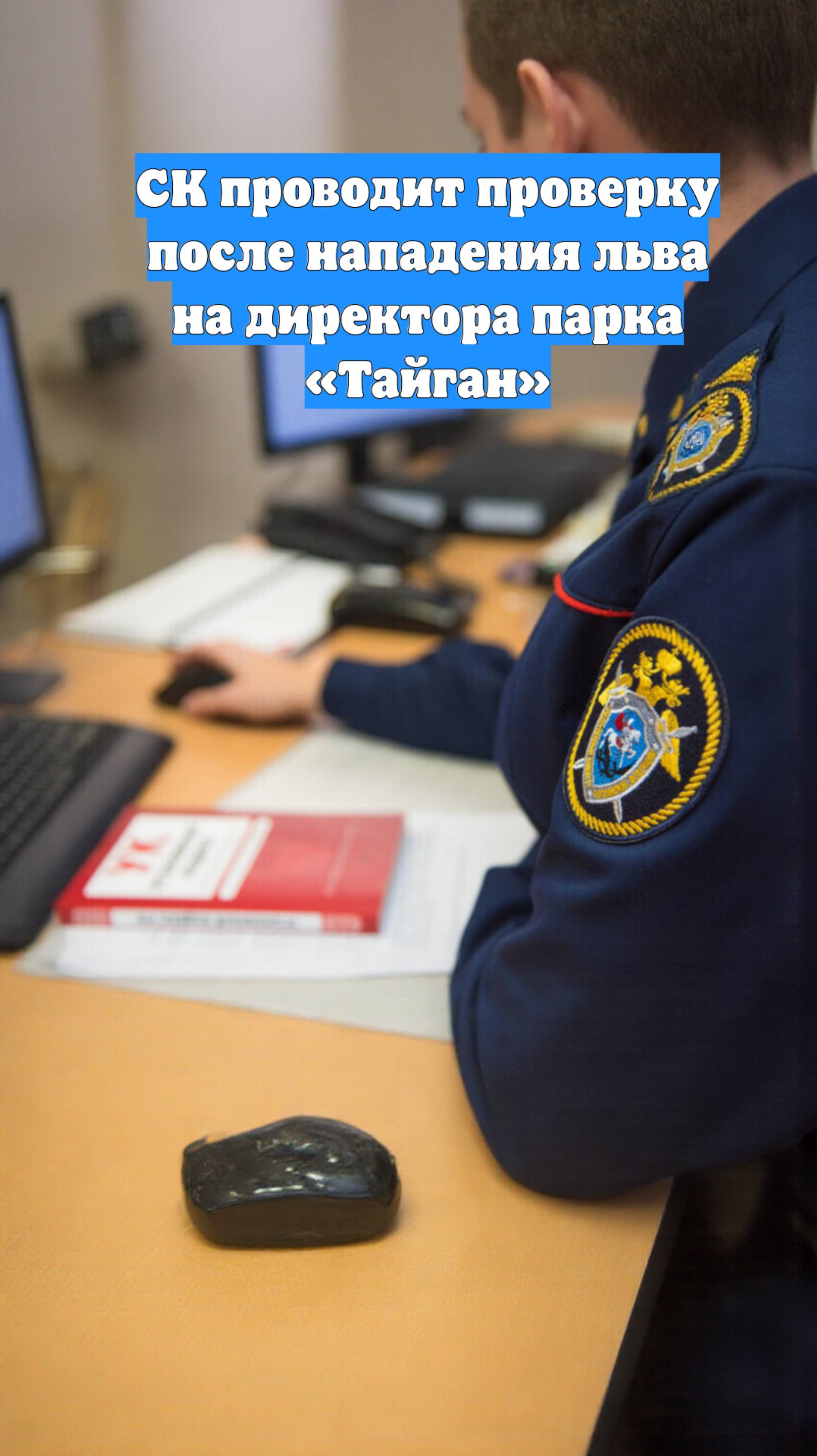 СК проводит проверку после нападения льва на директора парка «Тайган»