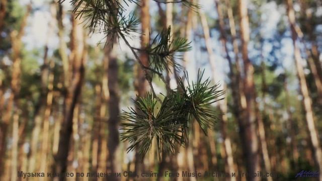 Этот клип - как обещание, что все будет хорошо! - Sensual Folk -- Scott Holmes Music -- Indie-Pop +