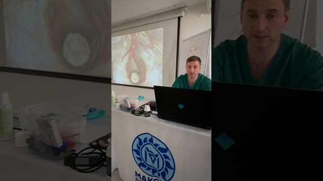 Семинар в Казани - 2/3 ступень, июнь 2025 (часть 3)-работа с черепом