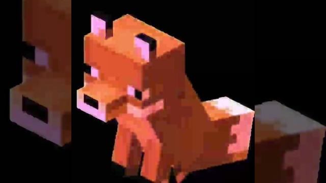 1000057586.mp4