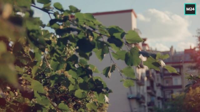 Яркий день в Москве | О Москве с любовью