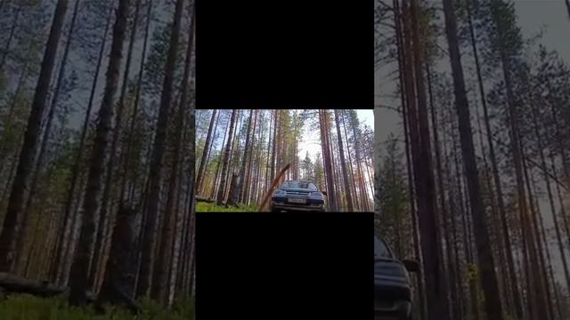 отдыхаем Воттоваара- Пизанец
