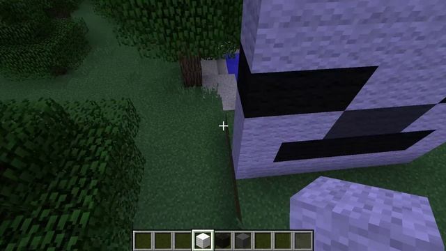 Minecraft 5