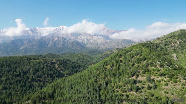 Это видео ЗАПРЕЩЕНО показывать детям! - Acid Road -- Ketsa -- Ascendance