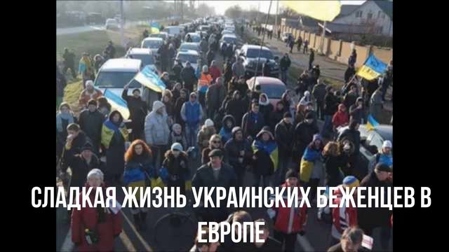 Сладкая жизнь украинских беженцев в Европе