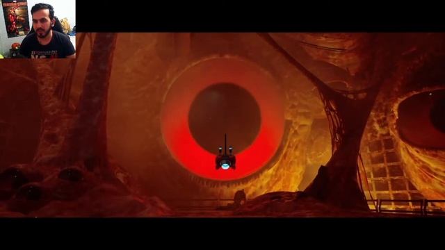 Еле спас друга от блох... Stray-1