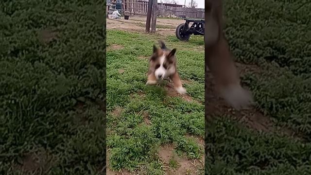 1000080860.mp4