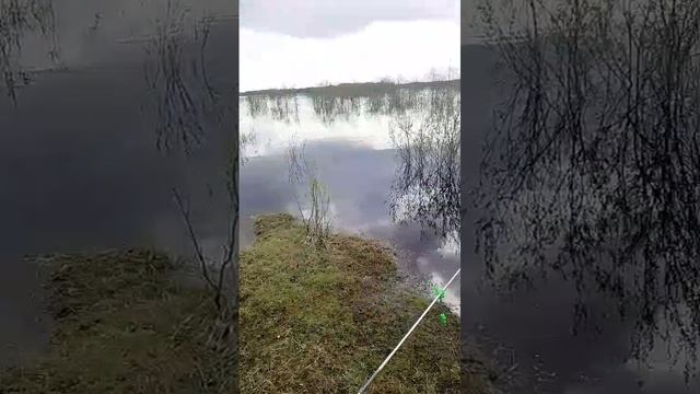 р.Колва