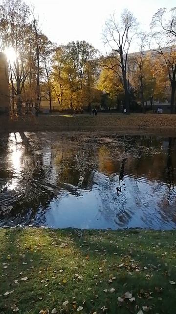 Пруд и Чугунный мостик Росси в Михайловском саду. Прогулки по Петербургу!