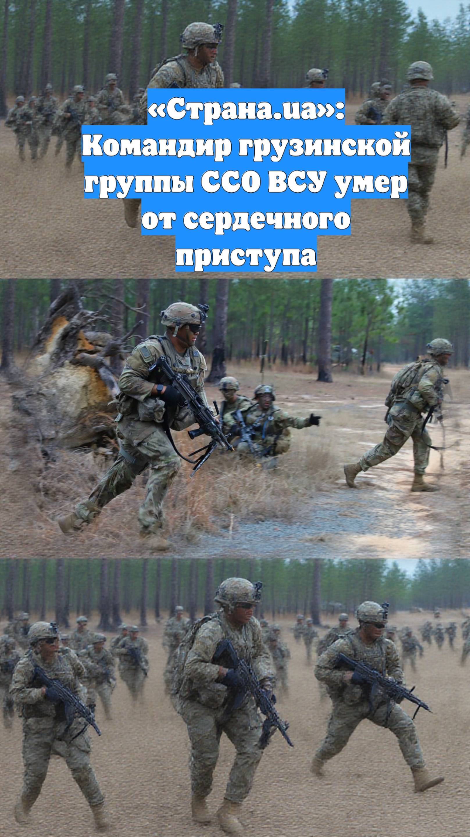 «Страна.ua»: Командир грузинской группы ССО ВСУ умер от сердечного приступа