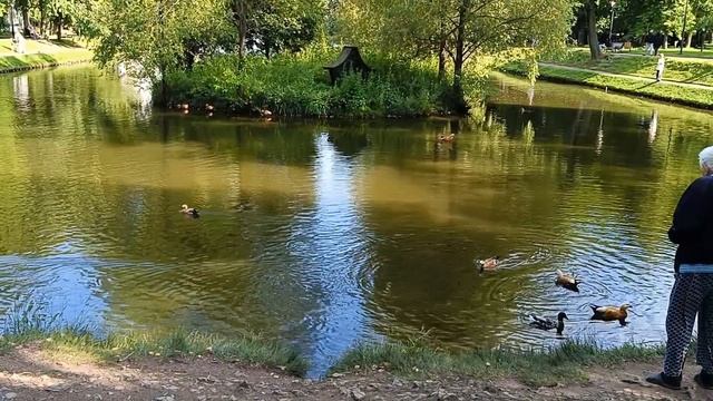 Екатерининский парк в Москве.