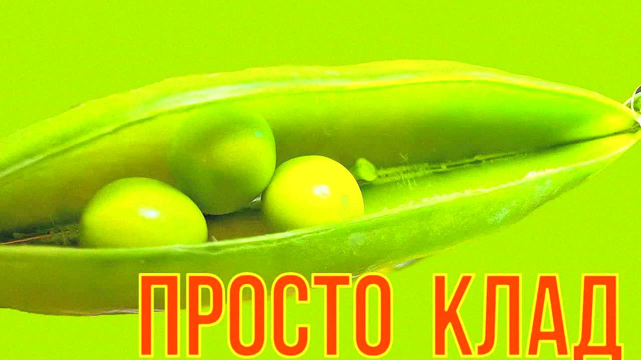 Горошек — суперфуд для сердца и суставов! Защита от атеросклероза, артроза и инфаркта – научные факт