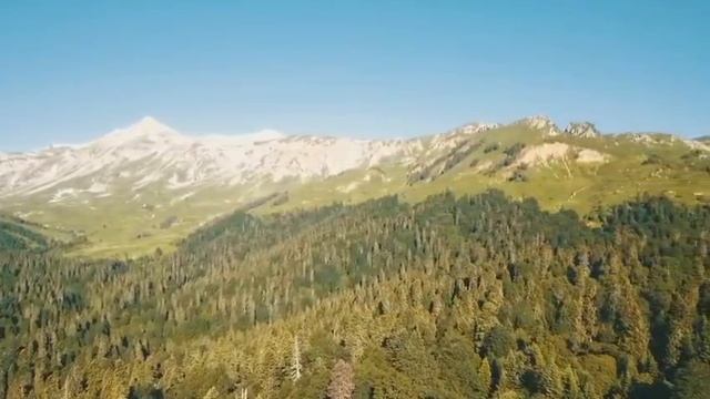 VID-20250623-WA0033