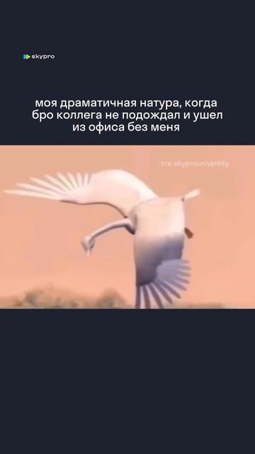 Выводы, конечно, сделаны